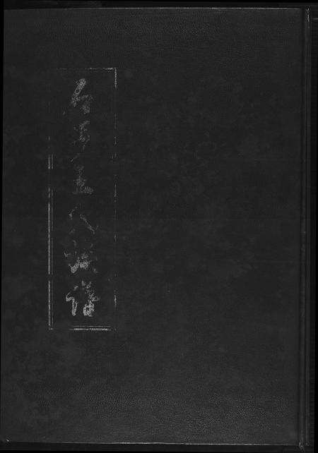 福建王氏族谱-石步王氏族谱.pdf电子版缩略图