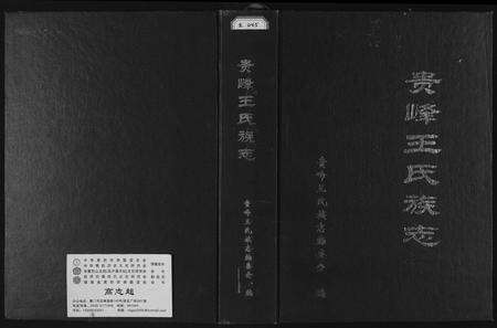 福建王氏族谱-贵峰王氏族志.pdf电子版缩略图