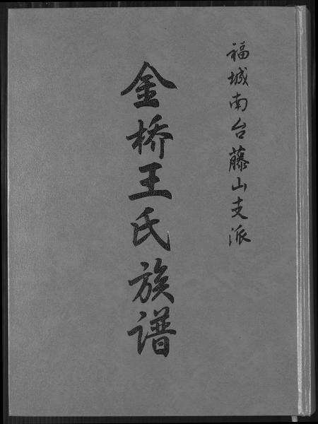 福建王氏族谱-金侨王氏族谱.pdf电子版缩略图