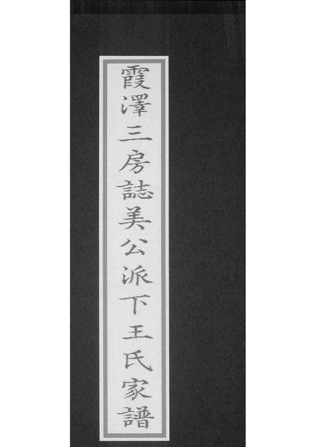 福建王氏族谱-霞泽三房志美公派下王氏族谱.pdf电子版缩略图