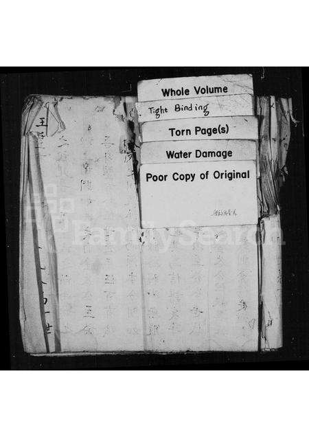 福建王氏族谱-王氏家乘.pdf电子版缩略图