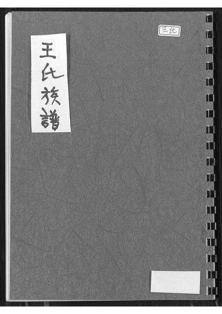 福建王氏族谱-王氏族谱.pdf电子版缩略图