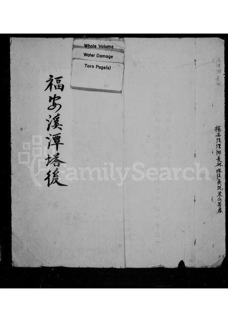 福建王氏族谱-[王氏族谱].pdf电子版缩略图