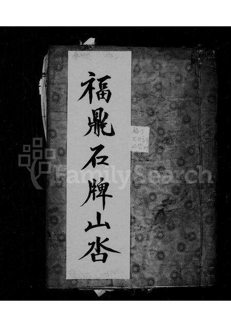 福建王氏族谱-王氏宗谱.pdf电子版缩略图