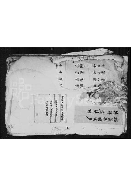 福建王氏族谱-[王氏族谱].pdf电子版缩略图