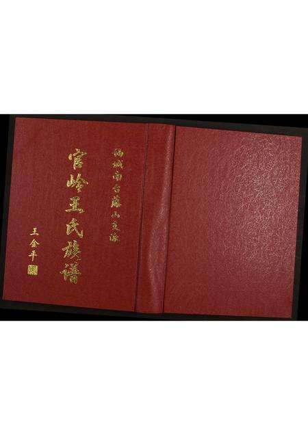 福建王氏族谱-福城南台藤山支派官岭王氏族谱 [全1册].pdf电子版缩略图