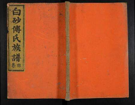 福建傅氏族谱-白砂傅氏族谱 [14卷,首1卷].pdf电子版缩略图