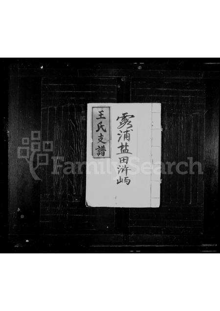 福建王氏族谱-王氏家乘.pdf电子版缩略图