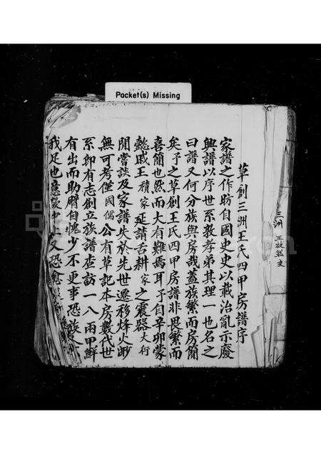 福建王氏族谱-草创三洲王氏四甲房谱.pdf电子版缩略图