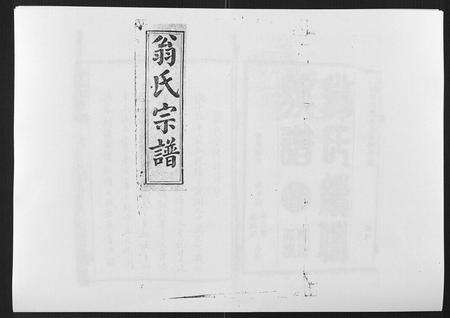 福建翁氏族谱-翁氏宗谱[10卷首末各1卷].pdf电子版缩略图