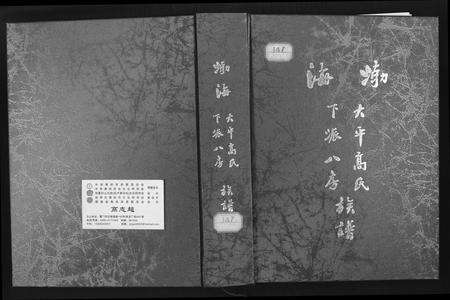 福建高氏族谱-大平高氏下派八房族谱.pdf电子版缩略图