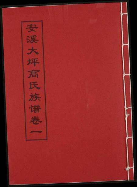 福建高氏族谱-安溪大坪高氏族谱.pdf电子版缩略图