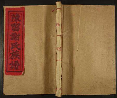 福建谢氏族谱-陈留郡谢氏十修族谱.pdf电子版缩略图