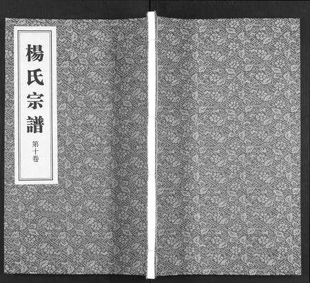 福建杨氏族谱-杨氏宗谱 [11卷].pdf电子版缩略图