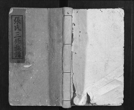 福建张氏族谱-张氏三修族谱[3卷].pdf电子版缩略图