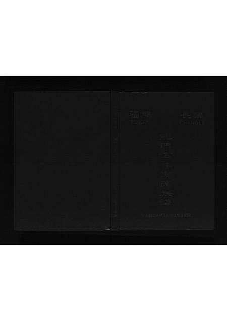 福建高氏族谱-龙门佑林高氏族谱[不分卷].pdf电子版缩略图