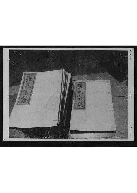 福建张氏族谱-张氏宗谱[13卷].pdf电子版缩略图