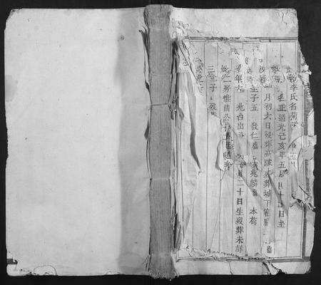 福建张氏族谱-张氏家谱.pdf电子版缩略图