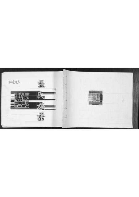 福建张氏族谱-张氏族谱.pdf电子版缩略图