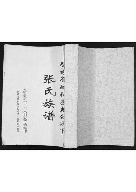 福建张氏族谱-张氏族谱.pdf电子版缩略图