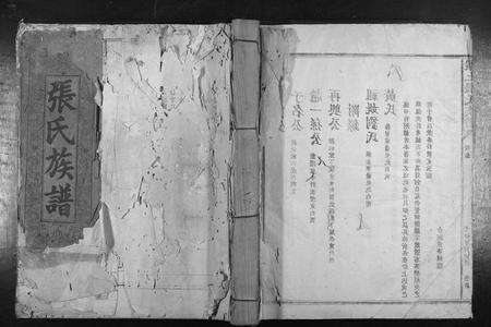 福建张氏族谱-张氏族谱[28卷首1卷].pdf电子版缩略图