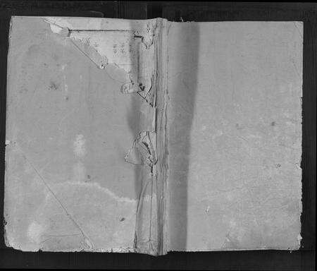 福建张氏族谱-张氏族谱[不分卷].pdf电子版缩略图