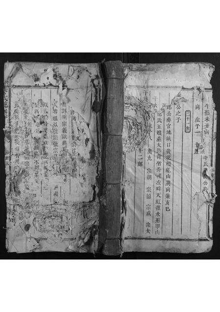 福建张氏族谱-张氏总谱.pdf电子版缩略图