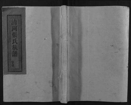 福建张氏族谱-清河张氏族谱.pdf电子版缩略图