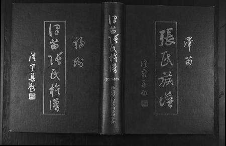 福建张氏族谱-泽苗张氏族谱.pdf电子版缩略图