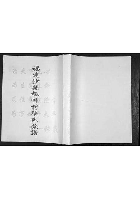 福建张氏族谱-福建沙县椒畔村张氏族谱.pdf电子版缩略图