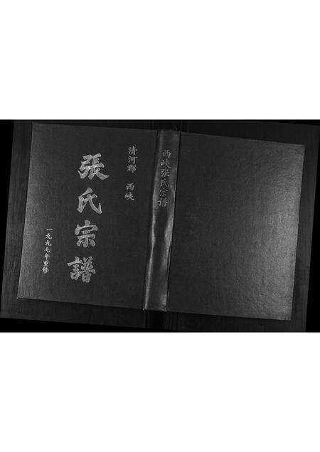 福建张氏族谱-西峡张氏百忍堂宗谱.pdf电子版缩略图