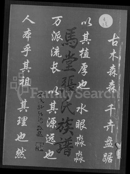 福建张氏族谱-马堂张氏族谱 [不分卷].pdf电子版缩略图