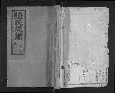 福建张氏族谱-张氏十修族谱 [不分卷].pdf电子版缩略图