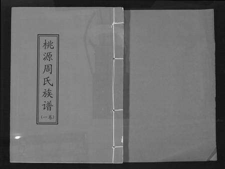 福建周氏族谱-桃园永春达埔周氏族谱.pdf电子版缩略图