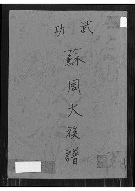 福建周氏苏氏族谱-武功苏周大族谱.pdf电子版缩略图