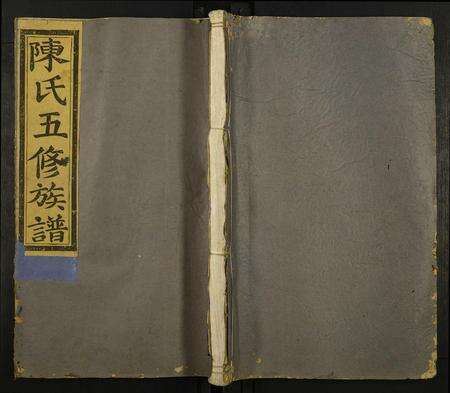 福建陈氏族谱-陈氏五修族谱.pdf电子版缩略图