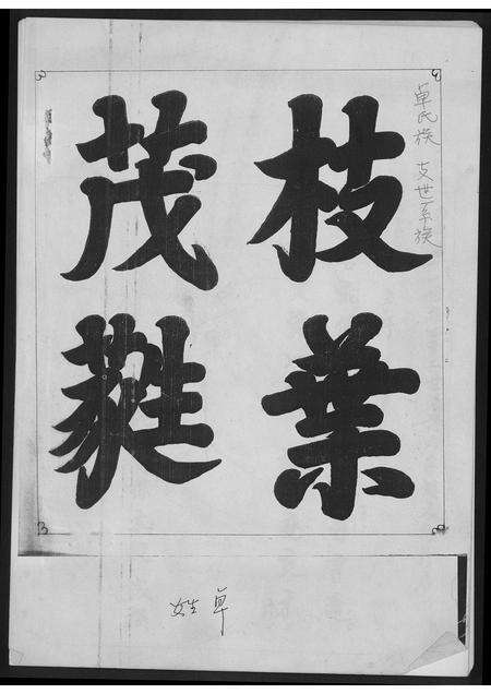 福建卓氏族谱-卓氏族支世系族.pdf电子版缩略图