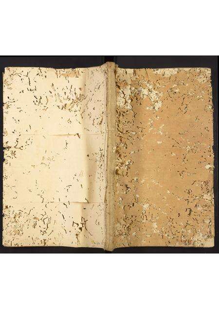 福建邹氏族谱-邹氏族谱.pdf电子版缩略图