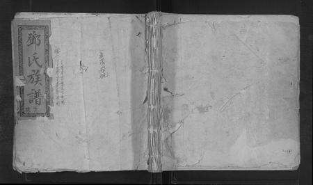 福建邓氏族谱-岩观邓氏家谱 [不分卷].pdf电子版缩略图