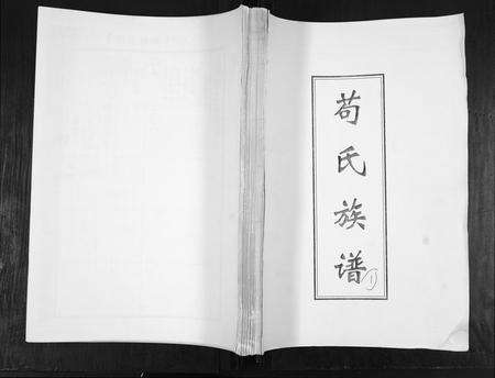 山东苟氏族谱-苟氏族谱[不分卷].pdf电子版