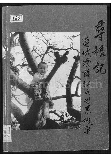 福建江氏族谱-寻根记 _ 连城济阳江氏世系概要.pdf电子版缩略图