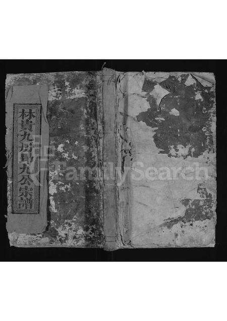 福建林氏族谱-泸阳林氏宗谱 [不分卷].pdf电子版缩略图