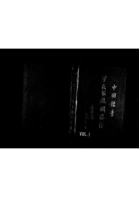 福建罗氏族谱-中国豫章罗氏家族渊源谱.pdf电子版缩略图