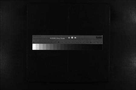 福建邱氏族谱-邱氏世昌公支谱 [3卷,首1卷].pdf电子版缩略图