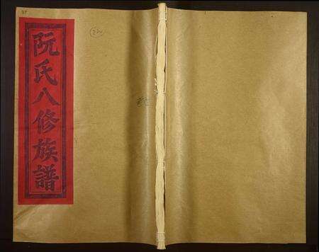 福建阮氏族谱-绥安阮氏族谱.pdf电子版缩略图