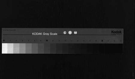 福建、安徽苏氏族谱-苏氏宗谱 [10卷,首2卷].pdf电子版缩略图