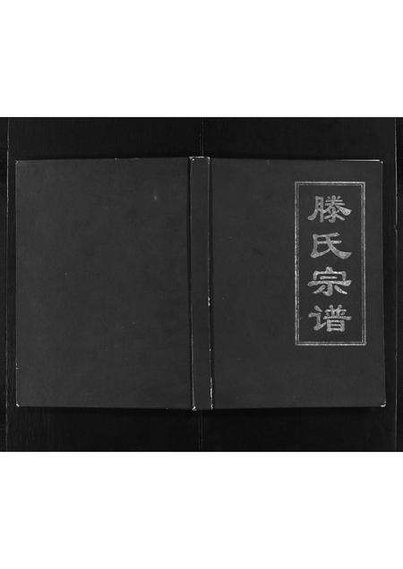 福建滕氏族谱-滕氏宗谱 [不分卷].pdf电子版缩略图