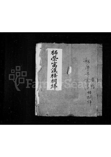 福建王氏族谱-太原王氏支谱.pdf电子版缩略图