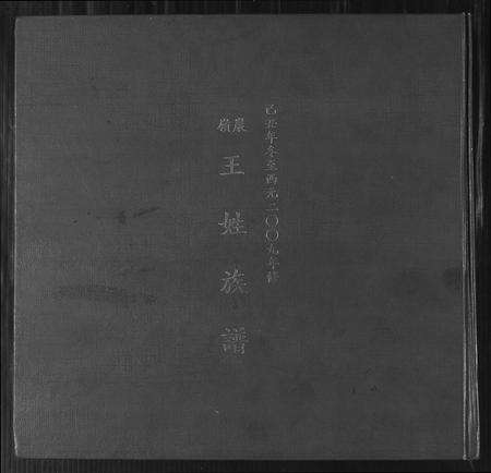 福建王氏族谱-巖岭王姓族谱.pdf电子版缩略图