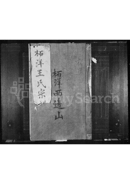 福建王氏族谱-柘洋王氏宗谱 _ [2卷].pdf电子版缩略图